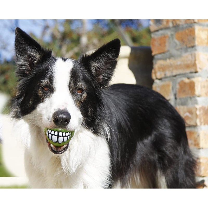 Rogz Fun Dog Treat Ball in various sizes and colors, Medium, Orange - Image 2