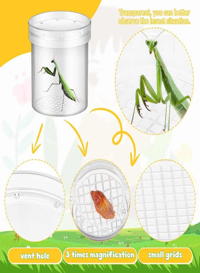 Yardwe Bug Viewer with Magnifier 3X Insect Observation Cup Plastic Collecting Jar for Kids Outdoor Exploration and Educational Nature Toy 2.75In - Image 4