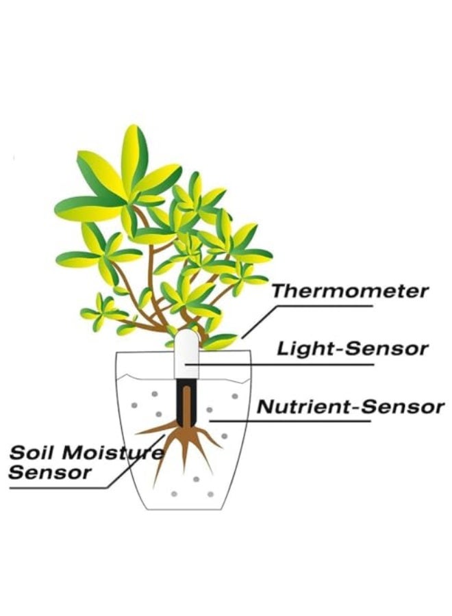 Generic NALACAL Plant Water Meter 4 in 1,Plant Water Monitor,Automatically detect Moisture/Temperature/Light/Fertility,Can Connect to Mobile Phone via Bluetooth,Hygrometer Sensor for Indoor Plants (1pc)  - Image 4