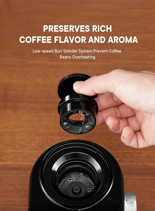 X spring Coffee Bean Grinder with 50-second adjustable electronic timer and 18 grind settings, settings for home/professional - Image 4