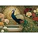 LAMPLIG 1000 Piece Puzzles for AdultsVictoria Rose Garden Jigsaw PuzzleVintage Peacock Puzzles 1000 PiecesCreative Games and Gifts Difficult Floral Puzzle Home Decor for Adults 275x195 11 Poster - Image 2