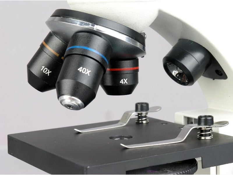 AmScope M160C-2L-PB10 Cordless Compound Monocular Microscope, WF10x and WF25x Eyepieces, 40x-1000x Magnification, Upper and Lower LED Illumination with Rheostat, Brightfield, Single-Lens Condenser, Coaxial Coarse and Fine Focus, Plain Stage, 110V or Battery-Powered, with Handle and Arched Base - Image 5