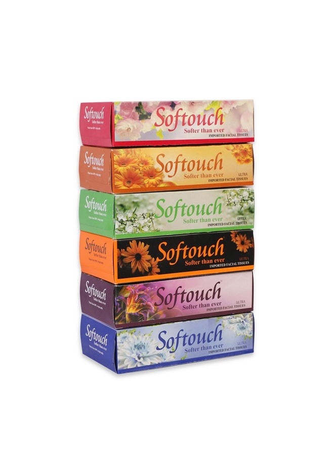 Softouch 2 Ply Face Tissue - 100 Pulls Per Box (200 Sheets) | Pack Of 6 | Total 600-1200 Soft Tissues | Gentle & Absorbent Facial Tissue  - Image 1