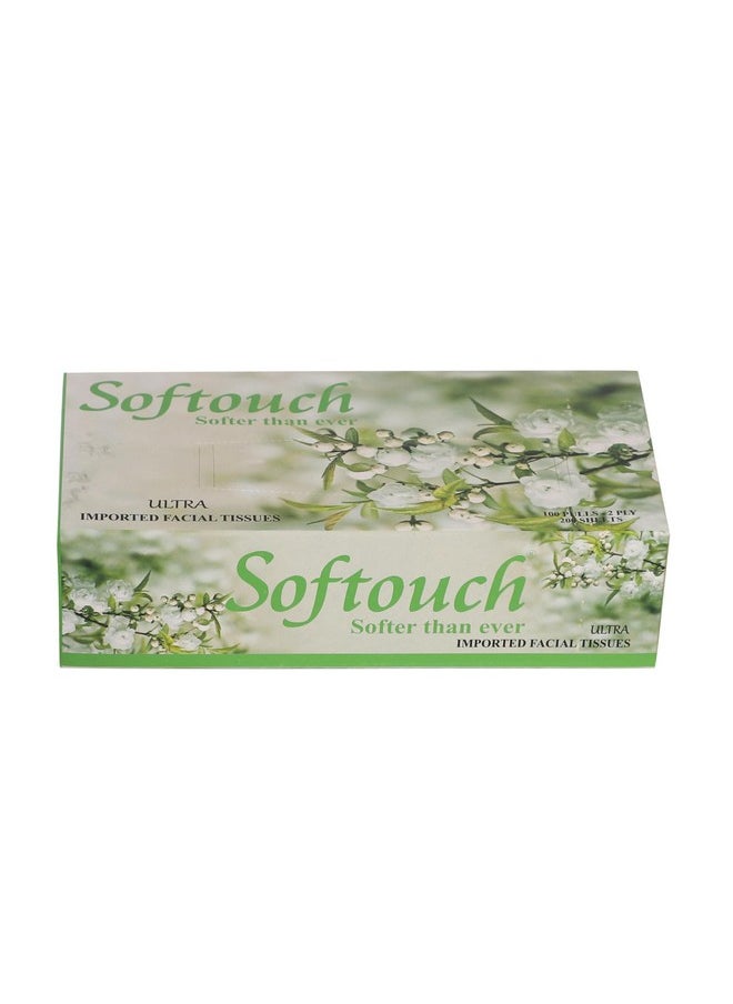 Softouch 2 Ply Face Tissue - 100 Pulls Per Box (200 Sheets) | Pack Of 6 | Total 600-1200 Soft Tissues | Gentle & Absorbent Facial Tissue  - Image 3