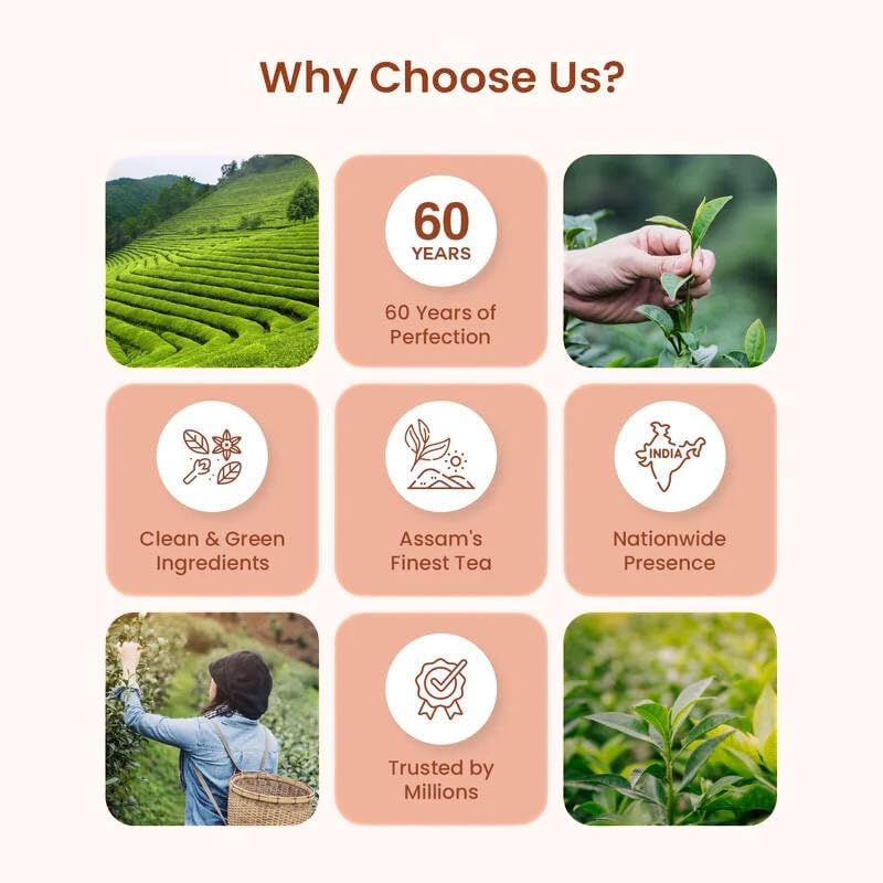 APSARA Instant Tea Premix Unsweetened Masala Tea 36 Sachets|Ready To Drink Tea With No Added Sugar|Enriched with Ginger, Cardamom, Pepper and Indain Spices, Sugar Free Masala Chai, 432 gram - Image 5