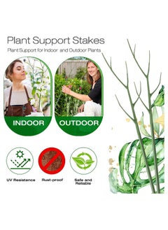 Generic SYOSI Plant Support Stakes, 40 Inch Adjustable Twig Plant Support Stakes, Trellis for Potted Plants Flower Supports for Indoor Outdoor Plants, Green, 6 Pieces  - Image 4