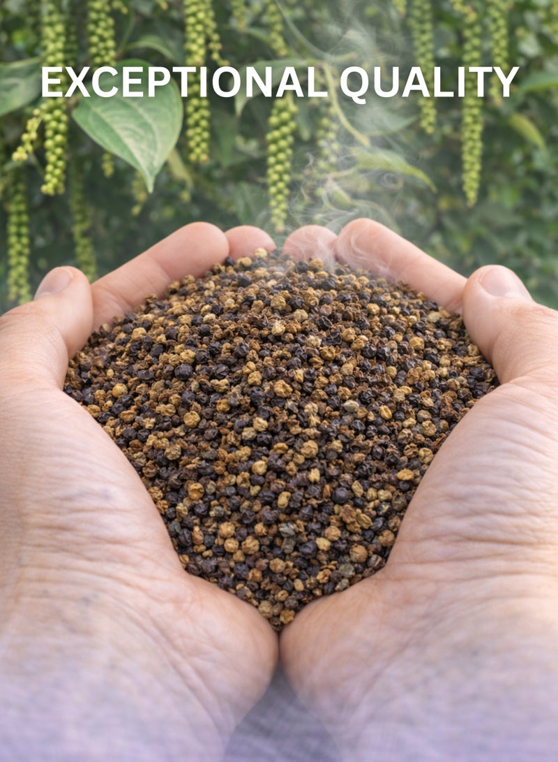 زهر الفلفل الأسود المطحون (فلفل أسود مجروش) - بايبر نيغروم | فلفل مطحون طبيعي فاخر | توابل نباتية نقية 100% للاستخدام في البستنة والزراعة العضوية والأغراض العشبية والنباتية. - Image 3