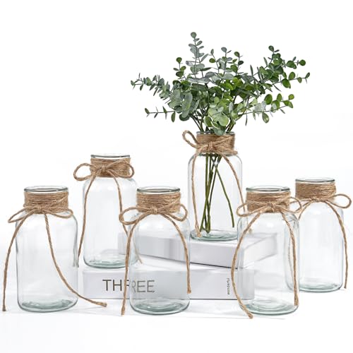 ASHELYULLA Vintage Glass Vases for Flowers, Set of 6 Clear Vases for Farmhouse Wedding Centerpiece Cylinder Bottle for Reception Table Decoration Home Decor Floral Arrangements - Image 1