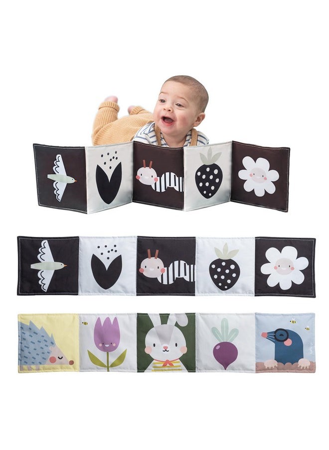 Taf Toys Taf Toys Bunny Black and White Soft Sensory Books Pram Book, High Contrast Baby Toys 0-3-6 Months, Essentials Tummy Time, Pram, Stroller, Car Seat Toy, Infant Toys, Newborn Essentials Must Haves  - Image 1