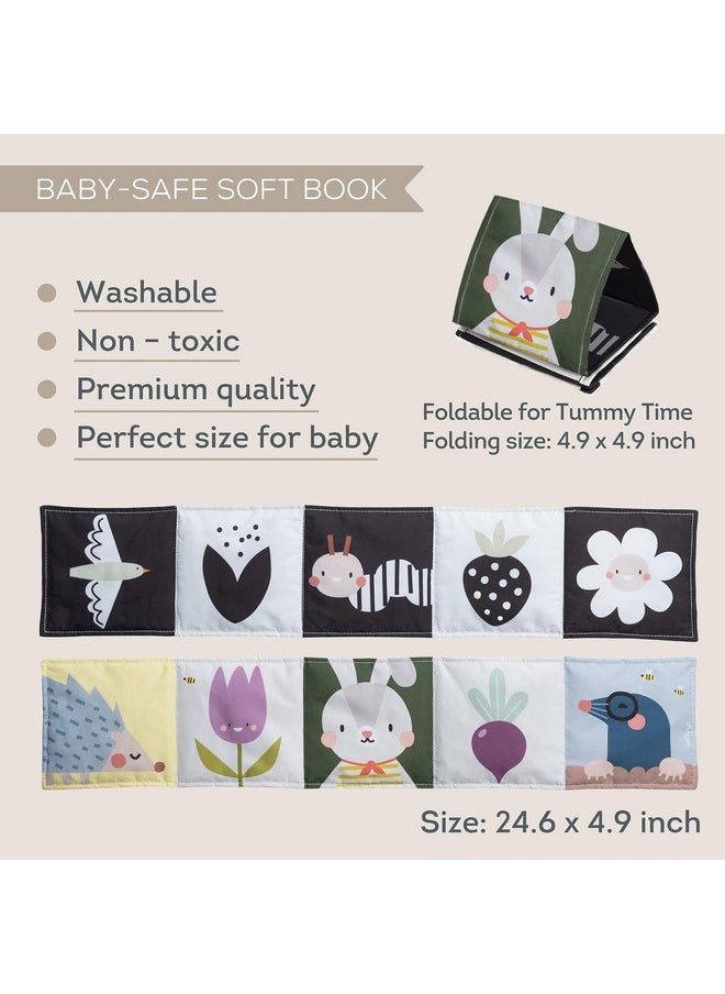 Taf Toys Taf Toys Bunny Black and White Soft Sensory Books Pram Book, High Contrast Baby Toys 0-3-6 Months, Essentials Tummy Time, Pram, Stroller, Car Seat Toy, Infant Toys, Newborn Essentials Must Haves  - Image 3
