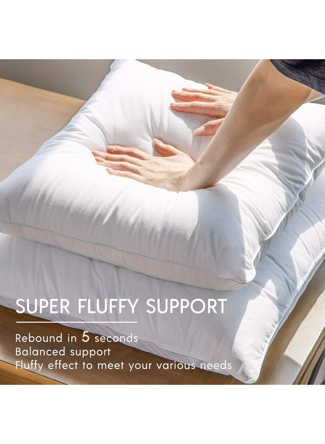 Phantoscope Phantoscope 20x20 Pillow Insert - Throw Pillow Insert with 100% Cotton Cover - 20 Inch Pillow Inserts Square Lumbar Pillow Stuffer - Decorative Sofa Couch Throw Pillows - Image 3