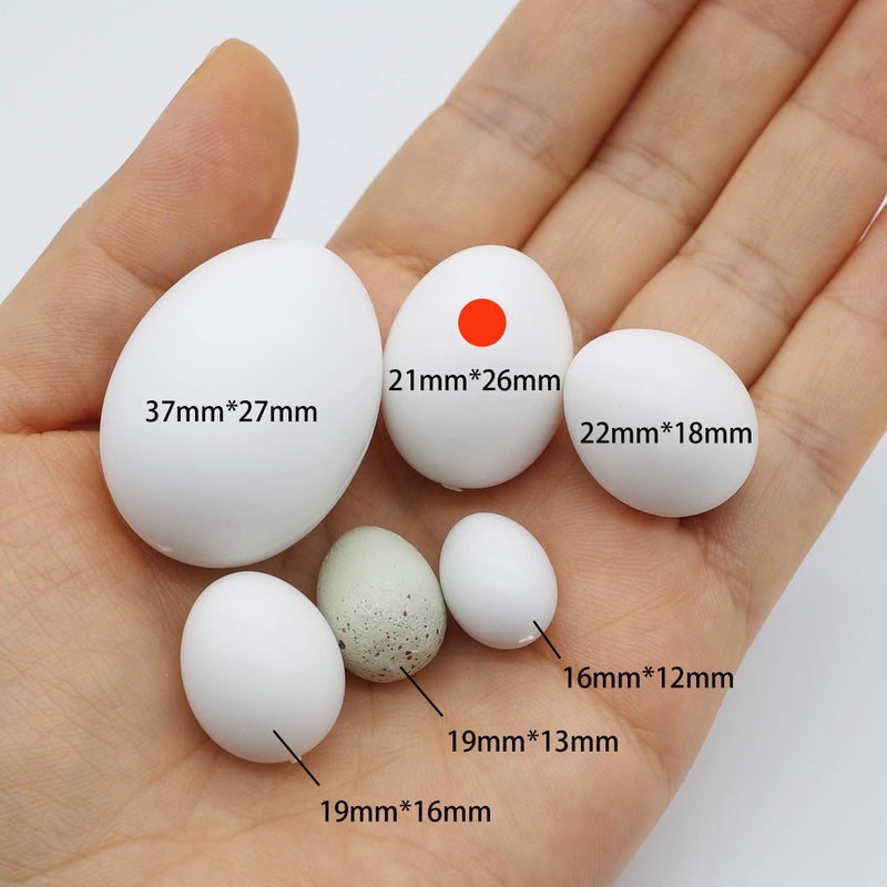 FOIBURELY FOIBURELY 12 Pcs Solid Parrot Plastic Eggs Hatching Eggs Green Cheek, Lorikeet&Ringneck Dove, Quaker, Cockatiel. Trick The Birds to Stop Laying Eggs, Fake Eggs  - Image 4