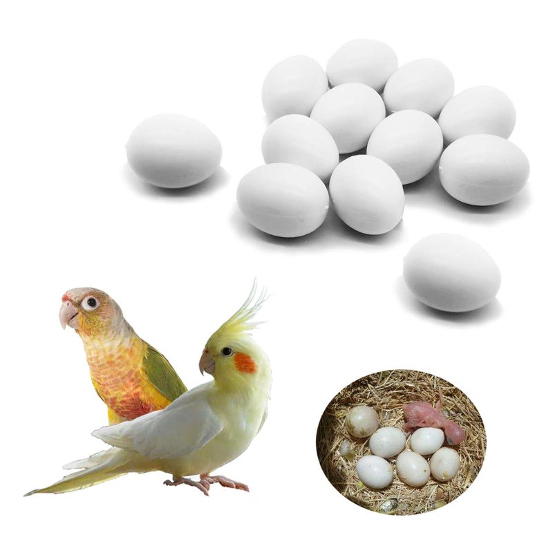 FOIBURELY FOIBURELY 12 Pcs Solid Parrot Plastic Eggs Hatching Eggs Green Cheek, Lorikeet&Ringneck Dove, Quaker, Cockatiel. Trick The Birds to Stop Laying Eggs, Fake Eggs  - Image 1