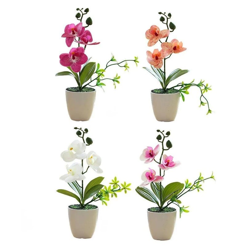 صنوبر فيلينوبس اصطناعي - Image 3