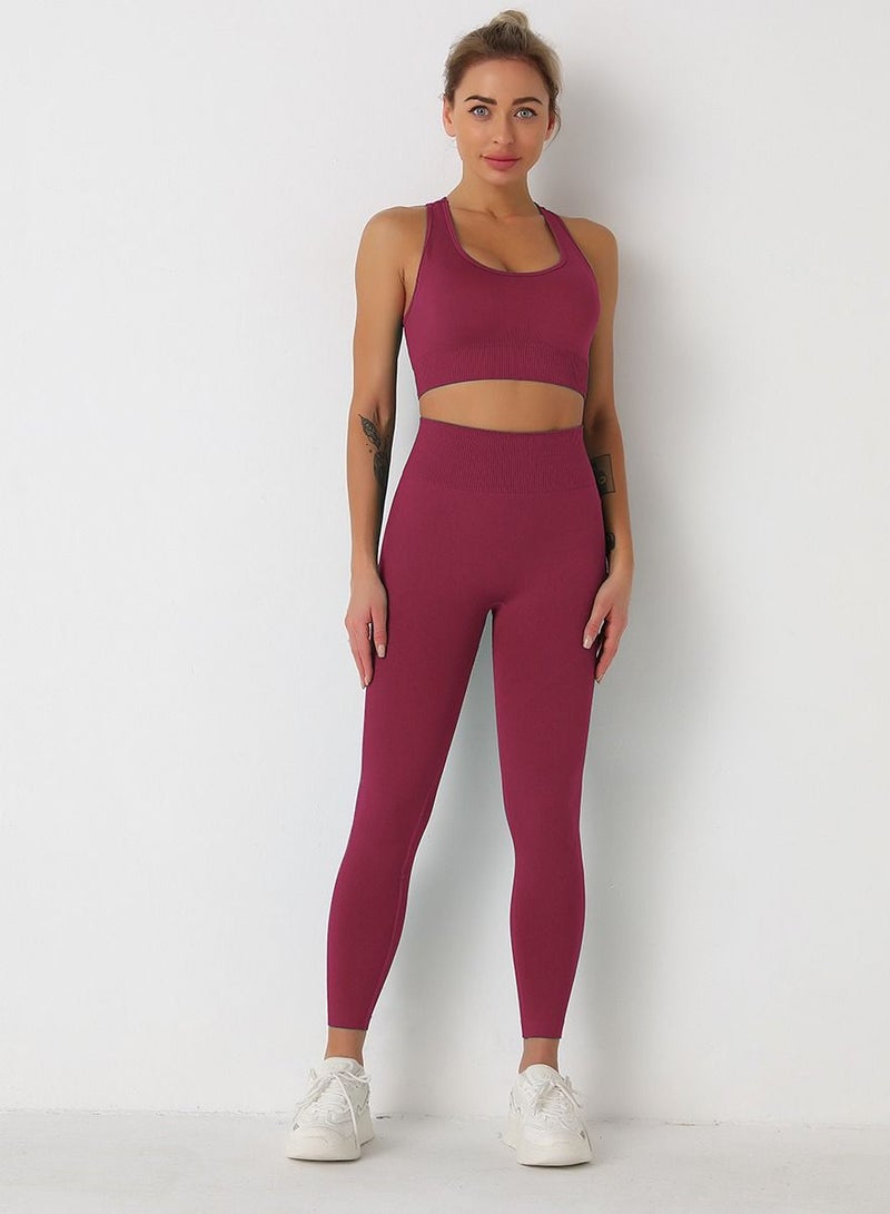 Loquat 2 Pcs of seamless knit fit hip Lift Moisture Absorption and Sweat Removal Exercise Fitness Suit Beauty Back Fitness bra Yoga Suit  - Image 1
