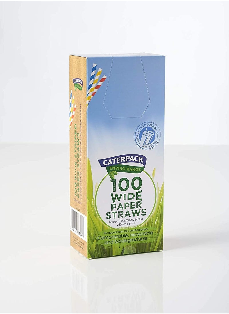 CATERPACK Striped Paper Straws Wide 100 pcs  - Image 1