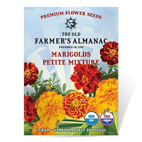 The Old Farmer's Almanac Petite Mixture Marigold Seeds - Premium Non-GMO, Open Pollinated, USA Origin - Approx 200 Flower Seeds - Image 1