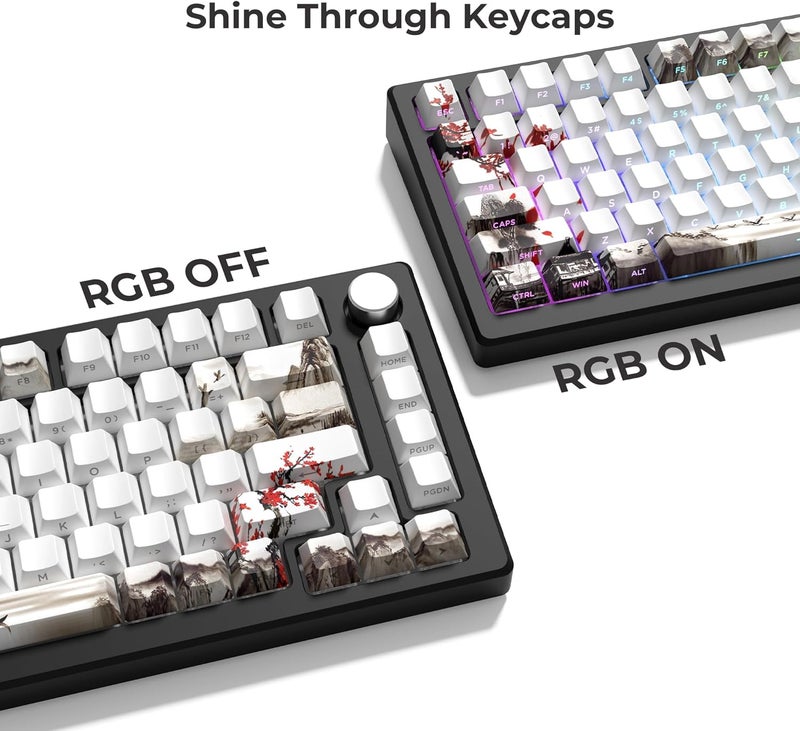 HITIME XVX PBT Keycaps - Side Print, Shine Through Custom, Retro Keycap Set, 128 Cherry Profile Keys for Mechanical Keyboards, Plum Blossom - Image 2
