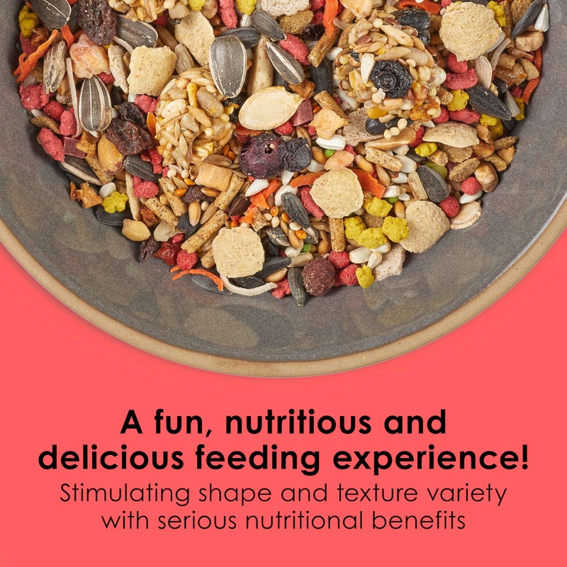 Kaytee Fiesta Cockatiel Food, Nutritious and Fun Blend, Supports Skin, Feather, Digestion, Brain and Heart Health, 2.5 pounds - Image 2