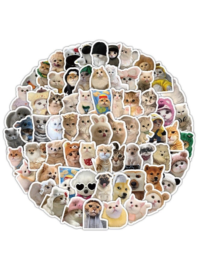 NIBEMINENT 120 Pcs Realistic Kitten Deco Kit Waterproof Stickers, High Definition Printing Bright Colors, Suitable for Laptop Skateboard Luggage Water Bottle Guitar DIY - Image 2