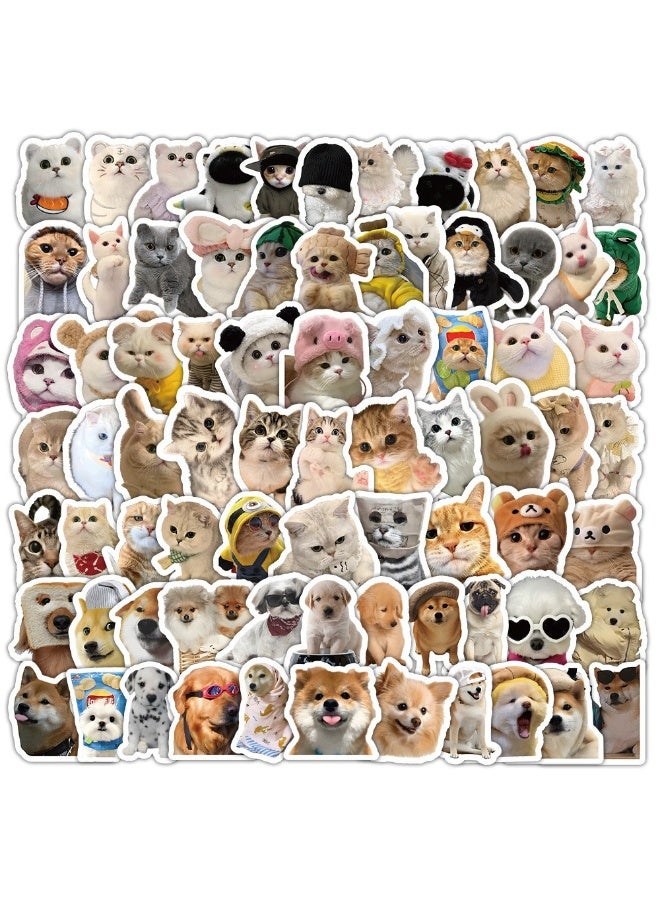 NIBEMINENT 120 Pcs Realistic Kitten Deco Kit Waterproof Stickers, High Definition Printing Bright Colors, Suitable for Laptop Skateboard Luggage Water Bottle Guitar DIY - Image 3
