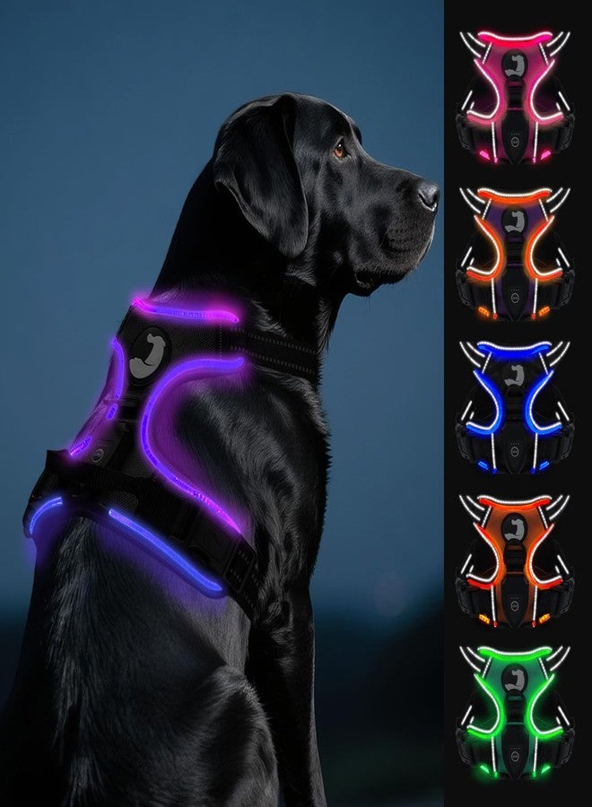 Joytale Light Up Dog Harness, No Pull Dog Harness USB Rechargeable for Night Walking with 3 Lightning Modes and Soft Handle, Adjustable Reflective Lighted Safety Vest,Black-Purple, L - Image 1