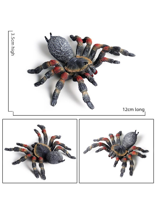 Loquat Trick Toy Simulation Spider Poisonous Spider Insect Animal Model Children's Toy Plastic Ornaments Gift-Color:Ddl Solid Insect Lizard 26 Large Set - Image 5