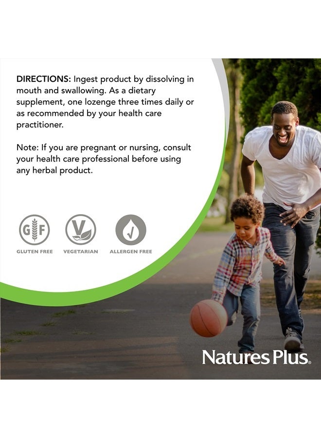 Natures Plus NaturesPlus Herbal Actives ImmunActin Zinc Lozenges - 10 mg Zinc, 60 Vegan Lozenges - Wild Cherry Flavor - Immune Booster with Echinacea & Elderberry - Vegetarian, Gluten-Free - 60 Servings - Image 5