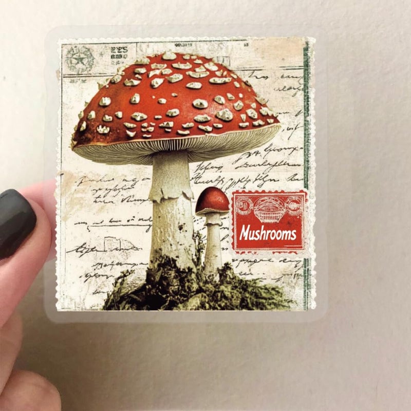 YOKSAS 50PCS Vintage Nature Mushroom Clear Scrapbook Stickers â€“ Retro Botanical Fairycore Stickers for Journaling, Planners, Crafts, Cards & Art Projects - Image 3