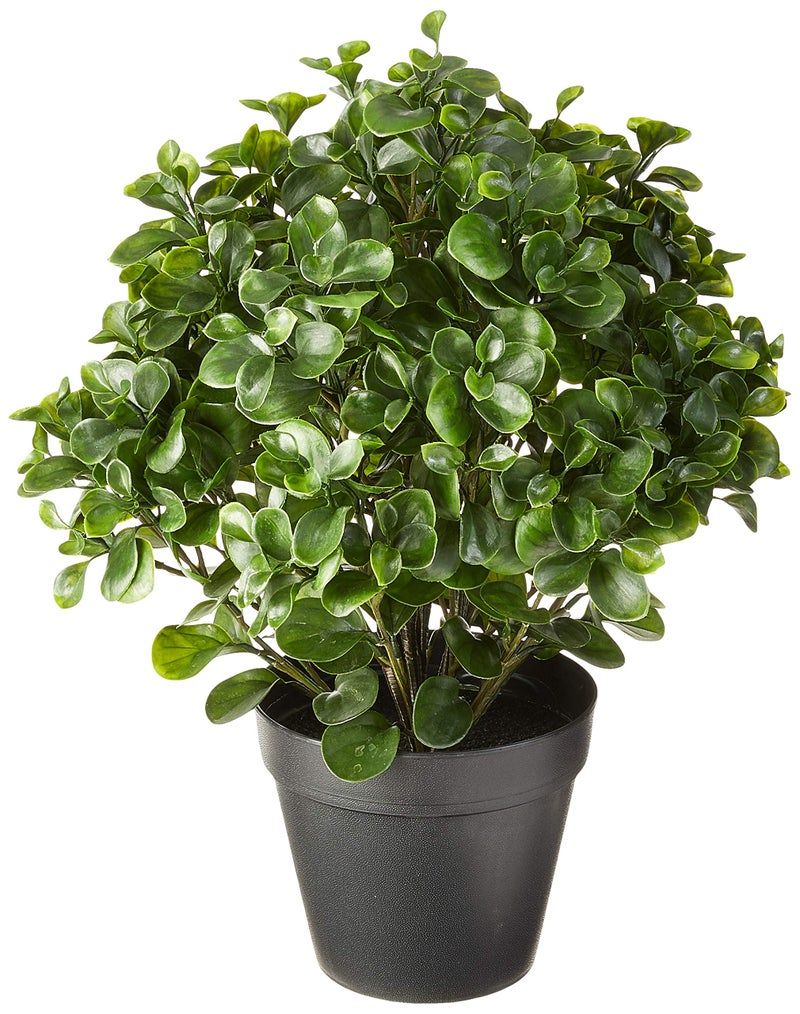 Nearly Natural Nearly Natural 23in Peperomia Plant UV Resistant IndoorOutdoor 