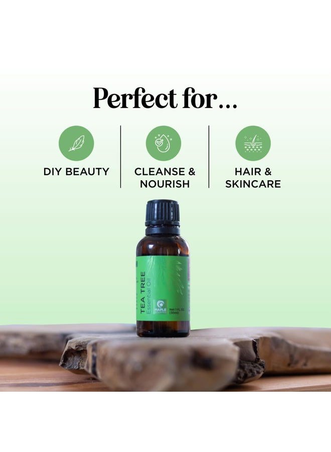 Maple Holistics Pure Tea Tree Essential Oil - Pure Australian Tea Tree Oil for Hair Skin and Nails plus Moisturizing Cleansing Oil for Face Care - Tea Tree Essential Oil for Skin Dry Scalp Foot Soak and Nail Cleaner - Image 2