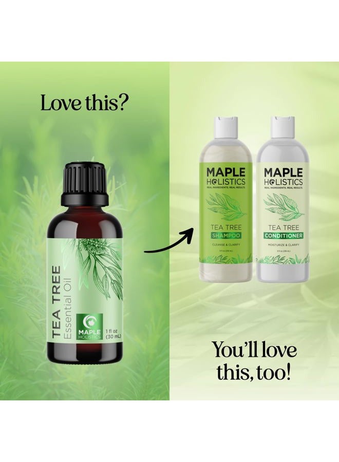 Maple Holistics Pure Tea Tree Essential Oil - Pure Australian Tea Tree Oil for Hair Skin and Nails plus Moisturizing Cleansing Oil for Face Care - Tea Tree Essential Oil for Skin Dry Scalp Foot Soak and Nail Cleaner - Image 5