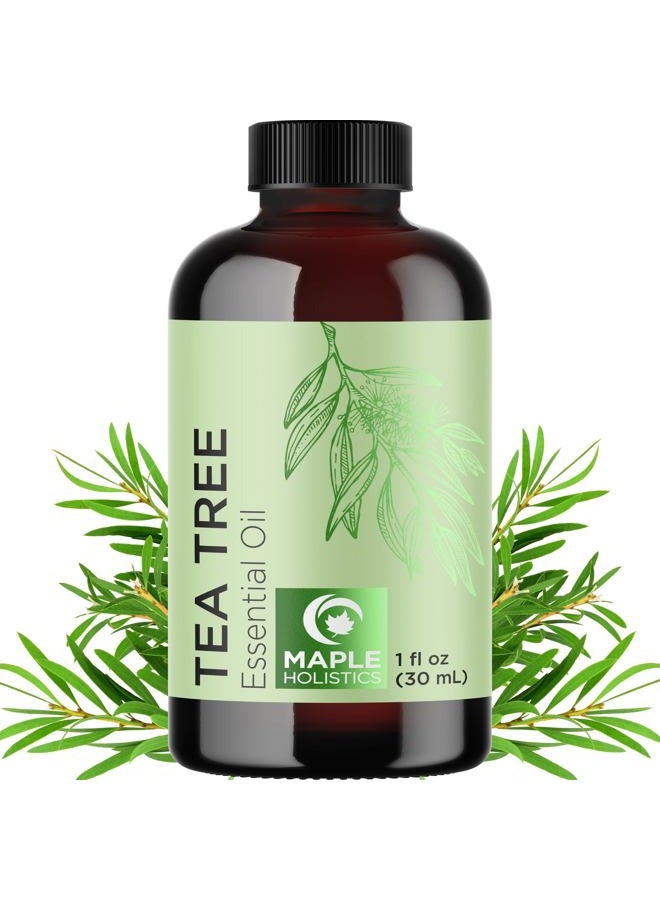 Maple Holistics Pure Tea Tree Essential Oil - Pure Australian Tea Tree Oil for Hair Skin and Nails plus Moisturizing Cleansing Oil for Face Care - Tea Tree Essential Oil for Skin Dry Scalp Foot Soak and Nail Cleaner - Image 1