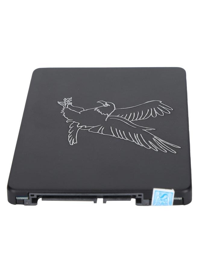 Thoraya 2.5 inch Metal SSD Hard Drive Disk Solid State Drive Eagle Black 2TB  - Image 4