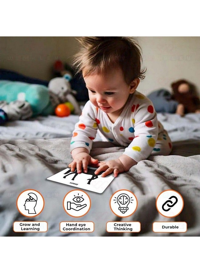 ويمبلي بطاقات ويمبلي التعليمية الكبيرة للأطفال والرضع، عالية التباين، تحفيز بصري، ألعاب مونتيسوري الحسية للأطفال من عمر 0 إلى 12 شهرًا - 30 بطاقة مزدوجة الجوانب، 60 صورة - Image 3