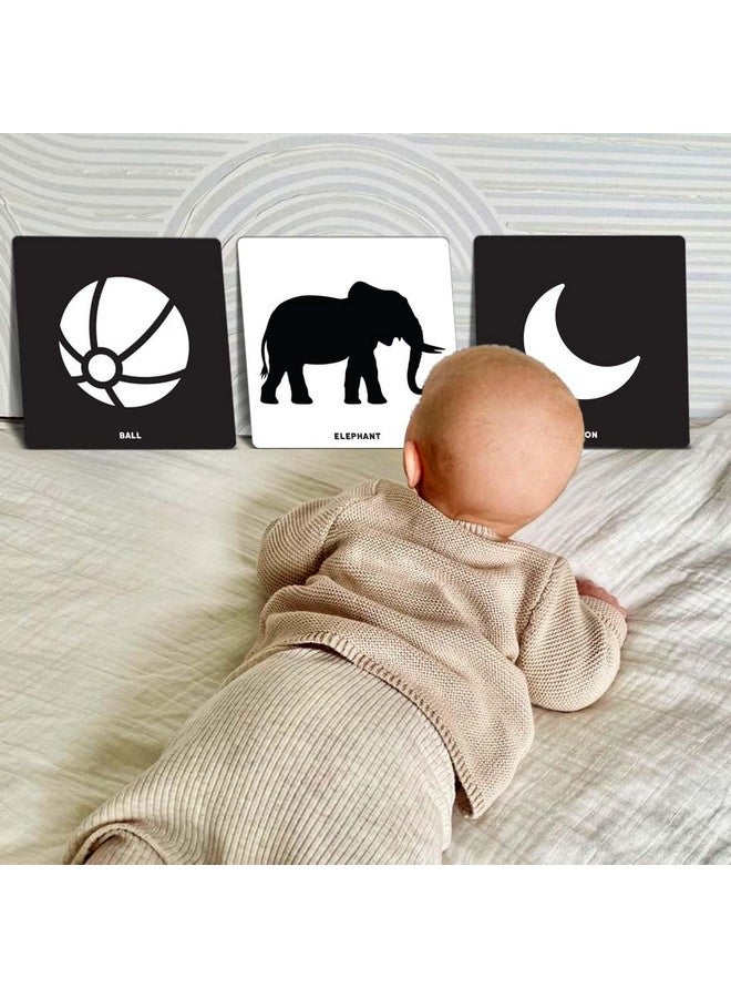 ويمبلي بطاقات ويمبلي التعليمية الكبيرة للأطفال والرضع، عالية التباين، تحفيز بصري، ألعاب مونتيسوري الحسية للأطفال من عمر 0 إلى 12 شهرًا - 30 بطاقة مزدوجة الجوانب، 60 صورة - Image 5