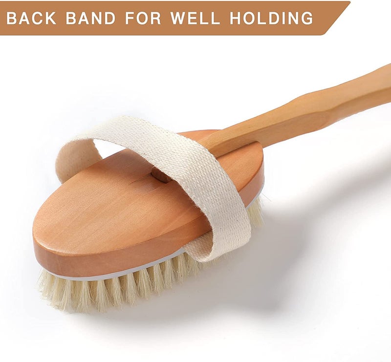 eHomeA2Z Back Scrubber for ShowerBody Shower Brush with Soft and Natural Bristle Body Exfoliating Brush for 2in1 Wet Dry Brushing Detachable Wooden Bath Brush with Long Handle Back Brush for Men and Women - Image 4