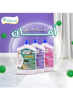 Dream Floor Long Lasting Rose Fresh Floor Cleaner & Disinfectant - 3L - pzsku/Z08D0839A7DA4E35D46CBZ/45/_/1735068317/a7ddfa4c-24cd-470e-92ad-a4f7a8c8c420