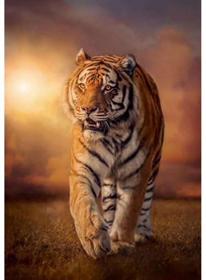 Clementoni Puzzle Tiger 1500 Pieces 59.2 X 84.3 Cm Suitable For Home Decor Adults Puzzle From 14 Years - Image 2