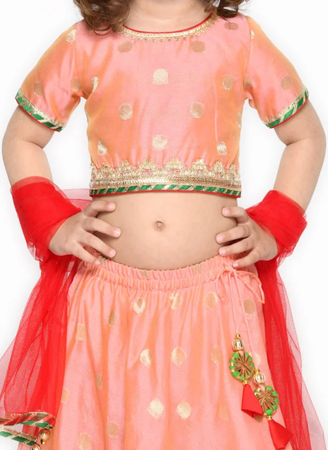 Saka Designs Peach-Coloured Lehenga Choli Set for Girls