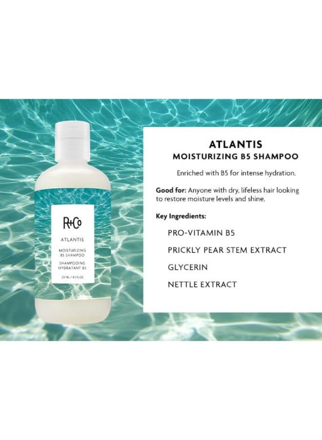 R+Co Atlantis Moisturizing B5 Shampoo & Conditioner Set | Deep Hydration & Repair for Dry Hair | Vegan + Cruelty-Free | 8.5oz (Pack of 2) - Image 5