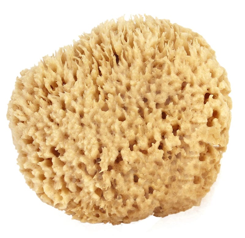Worison Natural Sea Sponges Great for Painting Decorating Texturing Sponging Marbling Effects Faux Finishes Crafts and More - Image 3