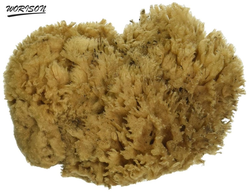 Worison Natural Sea Sponges Great for Painting Decorating Texturing Sponging Marbling Effects Faux Finishes Crafts and More - Image 2