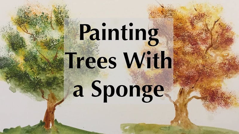 Worison Natural Sea Sponges Great for Painting Decorating Texturing Sponging Marbling Effects Faux Finishes Crafts and More - Image 4