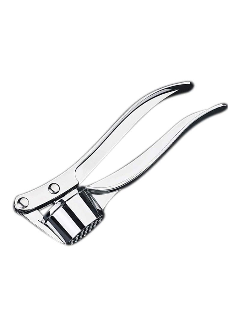 مفرمة ثوم وزنجبيل من الفولاذ المقاوم للصدأ، عصارة مقشرة، فضي، Garlicpresser01  - Image 1