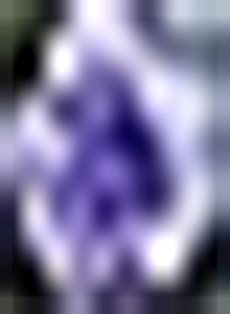 GGOOT 200pcs Light Purple  Seeds Easy to Plant Climbing Colorful Flowers for Balcony Hanging Basket Planting Night Sky Decoration - Image 2