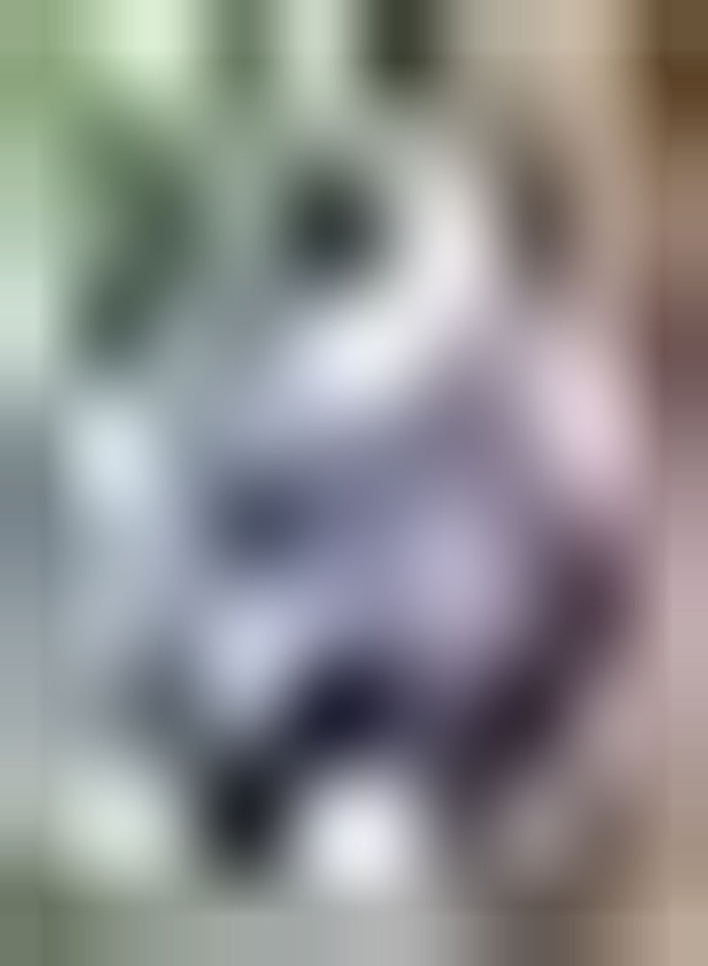 GGOOT 200pcs Light Purple  Seeds Easy to Plant Climbing Colorful Flowers for Balcony Hanging Basket Planting Night Sky Decoration - Image 1