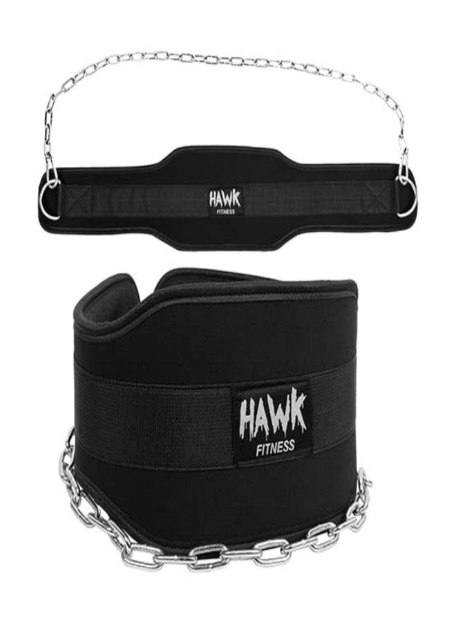 Hawk Sports Dip Belt with Chain for Bodyweight Exercises, Black 6" Padded Weightlifting Belt with 36" Steel Chain and D-Ring Carabiners, Lift 300 lbs. of Dumbbells, Kettlebells, or Weight Plates - Image 1