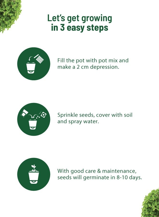 POT & BLOOM Pot And Bloom Oregano Home Garden Starter Kit: Oregano Seeds, Grow Your Own Oregano Plant, Pot, Pot Mix, Protection & Nutrition Spray All In One Kit Return Gift for Birthdays  - Image 3