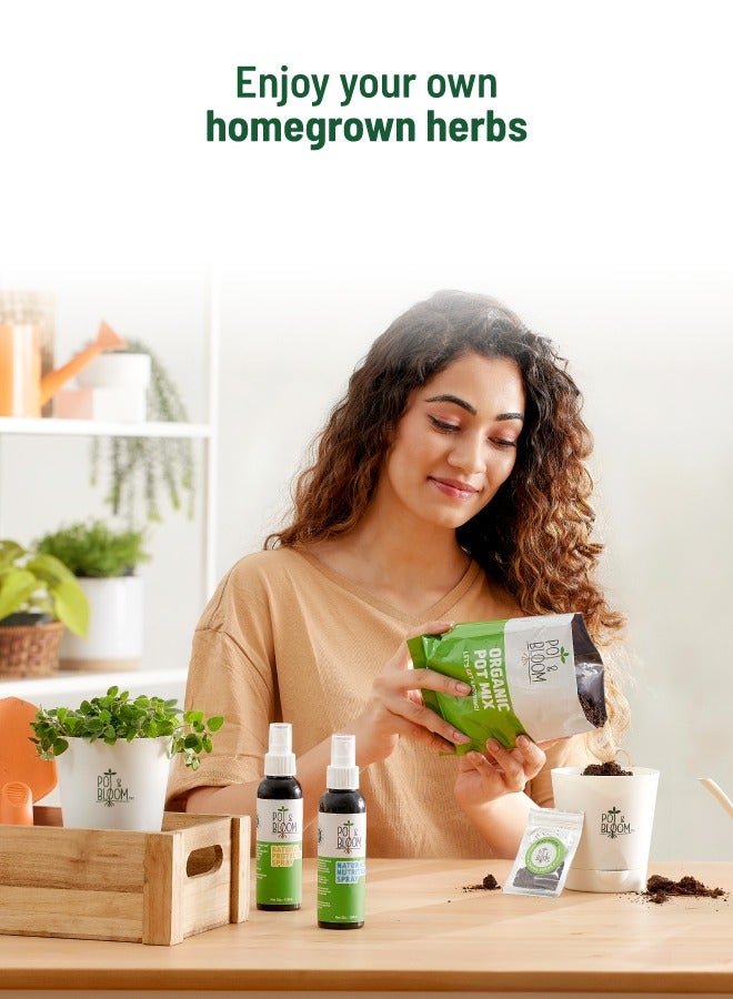 POT & BLOOM Pot And Bloom Oregano Home Garden Starter Kit: Oregano Seeds, Grow Your Own Oregano Plant, Pot, Pot Mix, Protection & Nutrition Spray All In One Kit Return Gift for Birthdays  - Image 4
